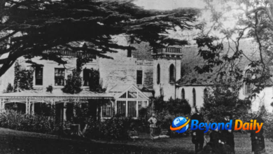 wymering manor