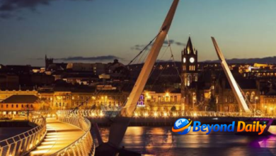 londonderry to belfast