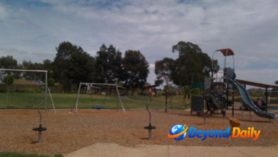 stebonheath park