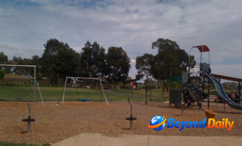 stebonheath park