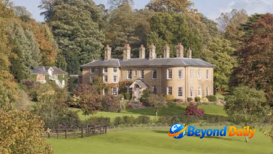 daniel craig house