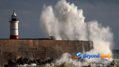 weather newhaven east sussex
