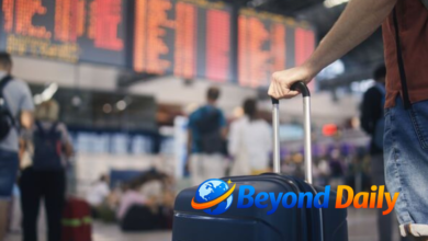 8 travel firms collapse