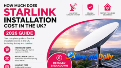 starlink business cost uk
