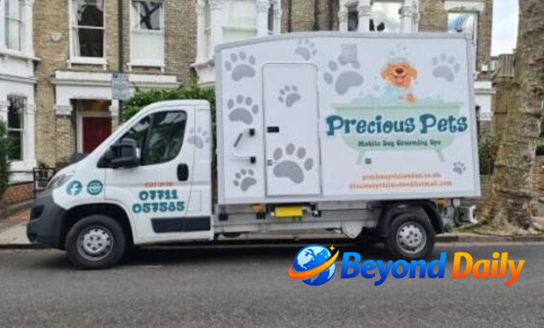 Dog Business for Sale