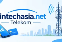 What is Fintechasia .net Telekom? A Clear Guide