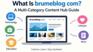 What Is brumeblog com? A Multi-Category Content Hub Guide